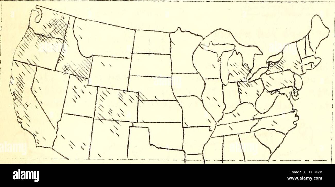 Krankheiten von Getreide und Futter Krankheiten von Getreide und Futterpflanzen in den Vereinigten Staaten 1921 diseasesofcereal 21 stak Jahr: 1922 ComT. Auf v/hlte Weizen (Abb. 35) ist grovm sowohl in der östlichen und westlichen Teilen der Vereinigten Staaten. Es ist die führende Klasse von Weizen in v'/Ashington, Kalifornien, Oregon und Idaho, Ard ist auch wichtig in New York und Michigsn. In diesen Staaten ist es in der Regel outyields der anderen Klassen von v/Hitze. Über drei Millionen Hektar cornnon Weiß v/Wärme sind grovm jährlich in den Vereinigten Staaten-'t umfasst somev/hat mehr als fünf Prozent der gesamten ci-v: Hitze Flächeninhalt. Ich '.' Erz Stockfoto