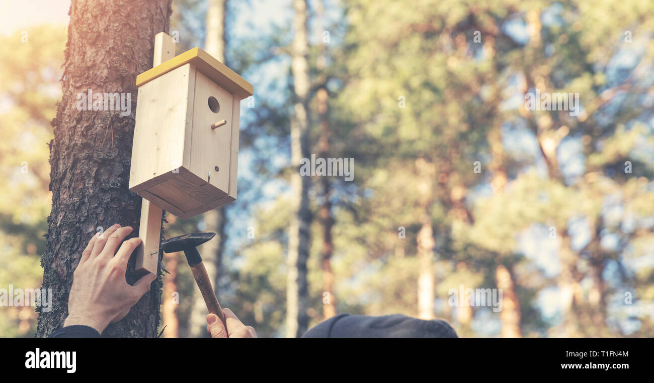Ornithologen installation Vogelhaus auf dem Baumstamm Stockfoto