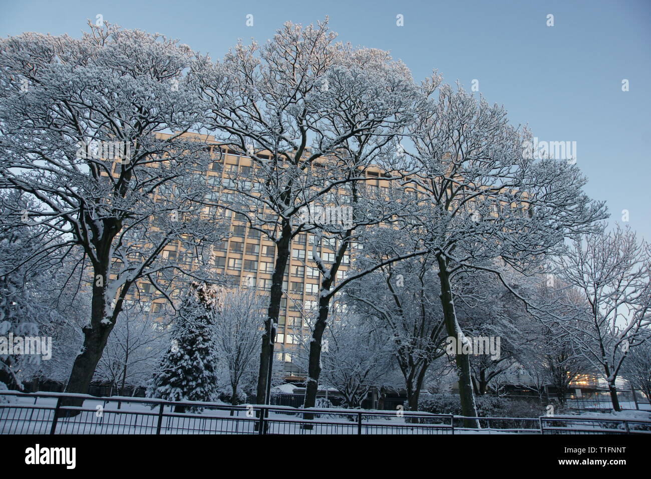 Hull University Teaching Hospitals NHS Trust Stockfoto