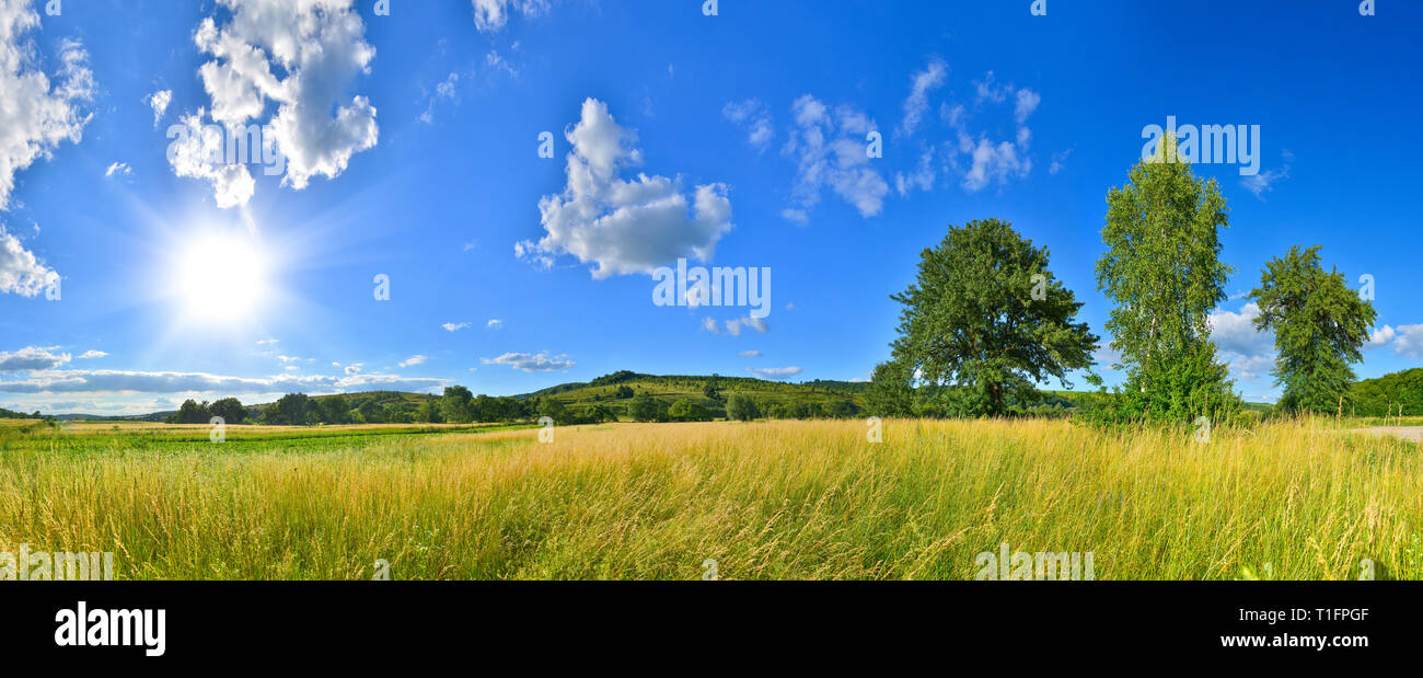 Ländliche Landschaft mit sonnigen Feld Stockfoto