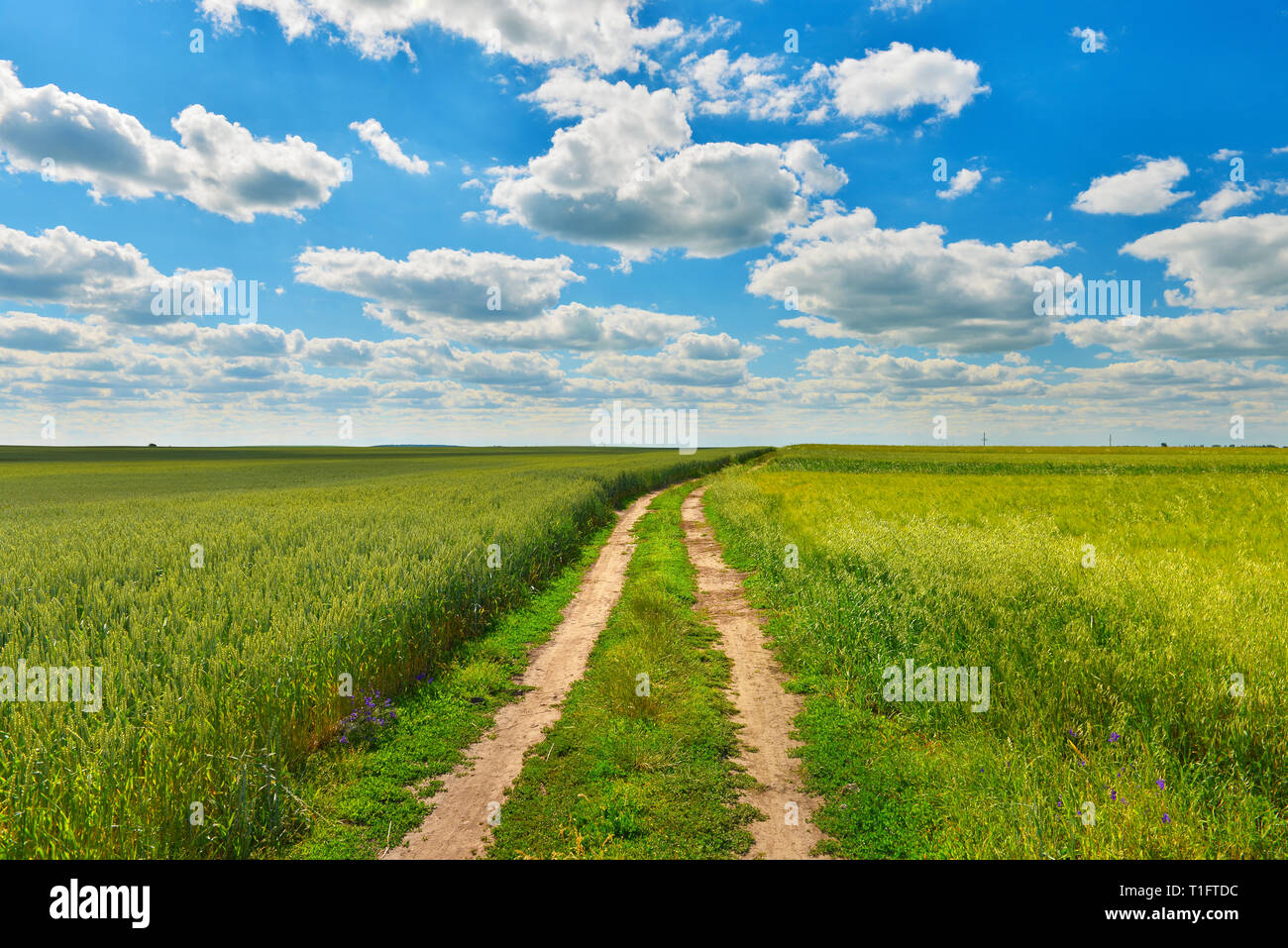 Fruchtbares Land Stockfotos und -bilder Kaufen - Alamy
