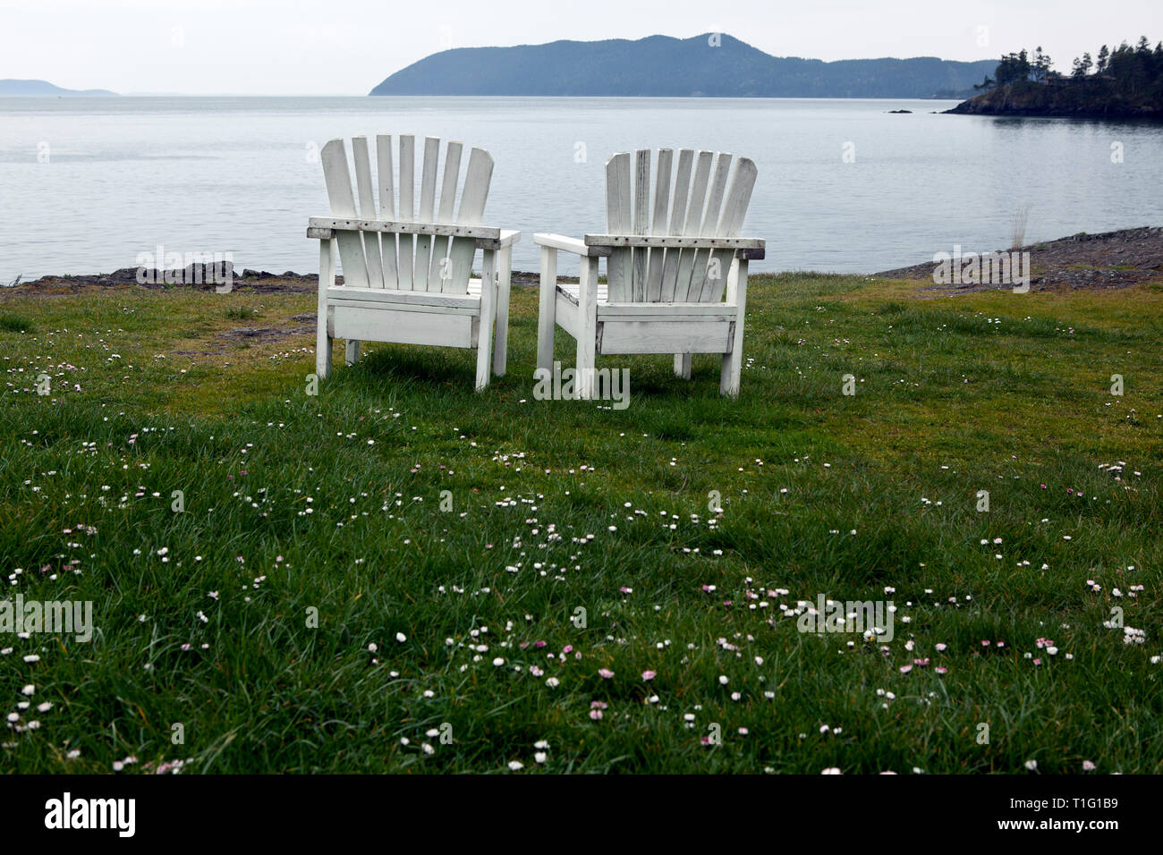 WA 06484-00 ... WASHINGTON - Stühlen mit Blick auf Doe Bay auf Orcas Island. Stockfoto