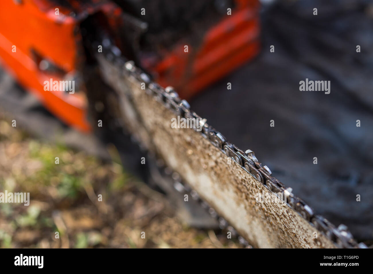 In der Nähe von verschmutzten Kettensäge Kette platziert auf dem Boden auf Gras. Stockfoto