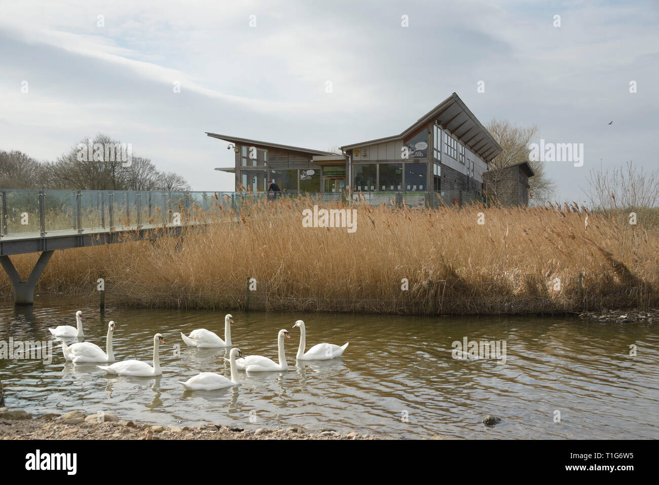 Besucherzentrum, Naturschutzgebiet Attenborough, Nottingham, Stockfoto
