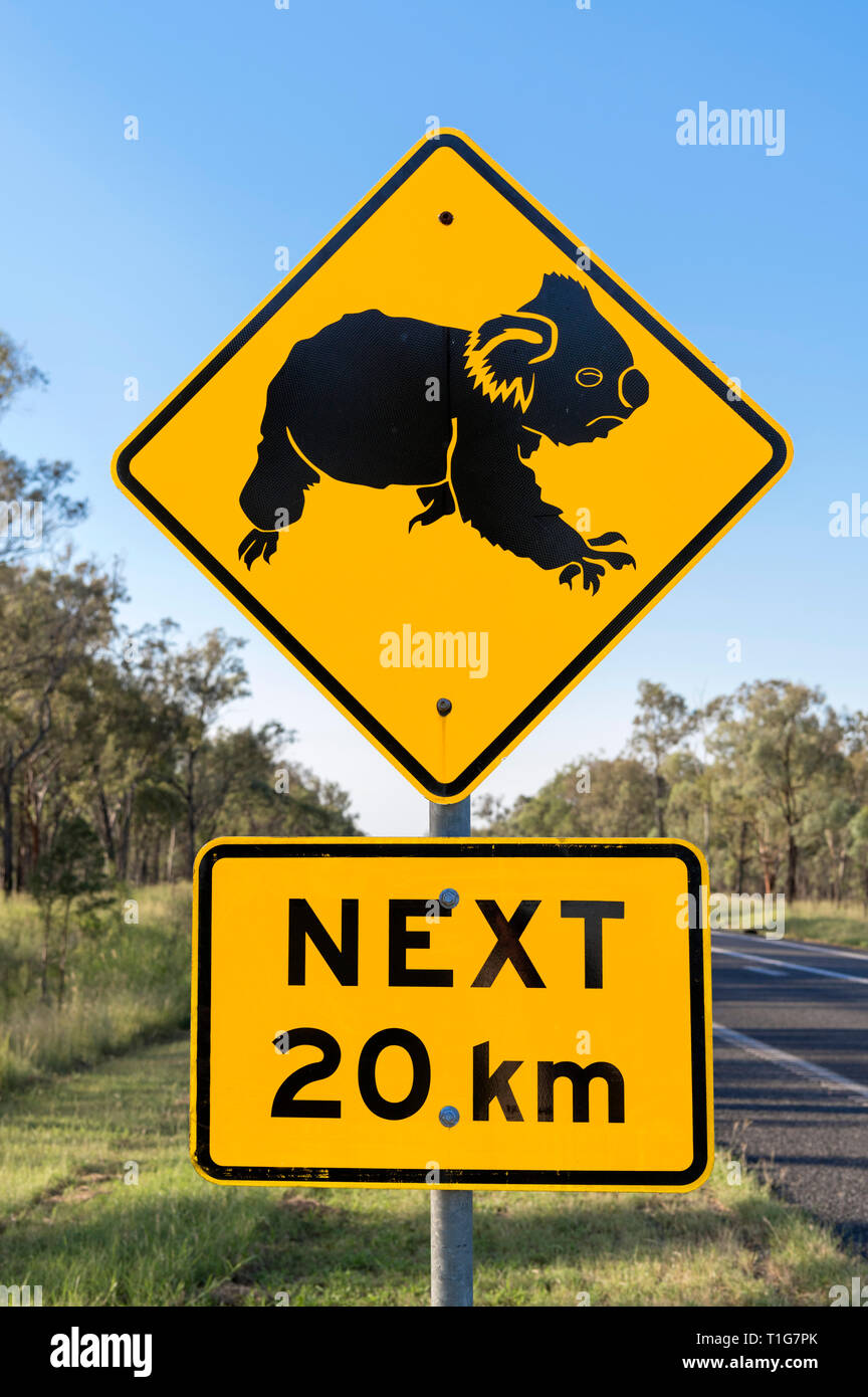 Passen Sie von den Koalas Crossing Road Sign in Queensland, Australien Stockfoto