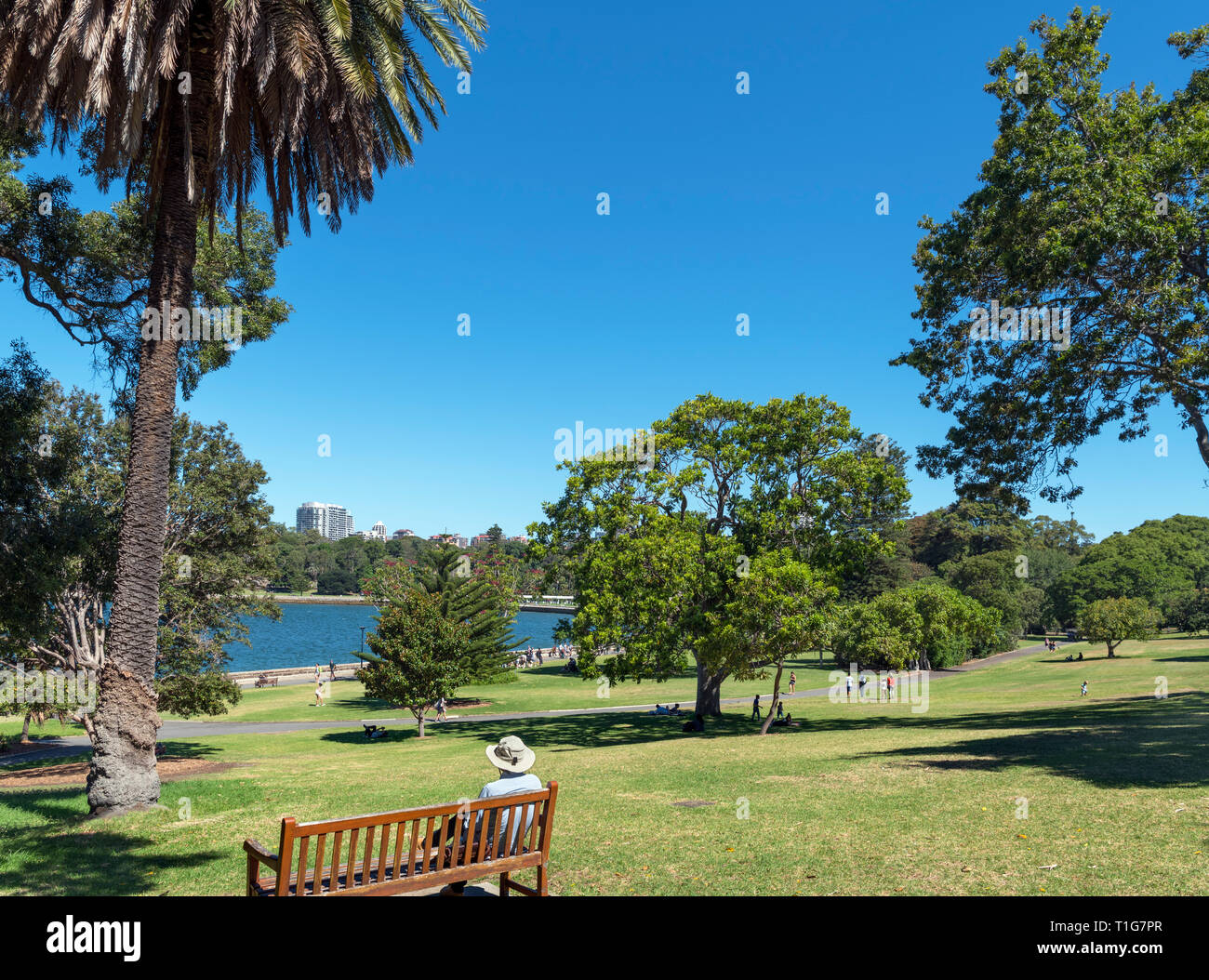 Royal Botanic Gardens Sydney Stockfotos Royal Botanic Gardens