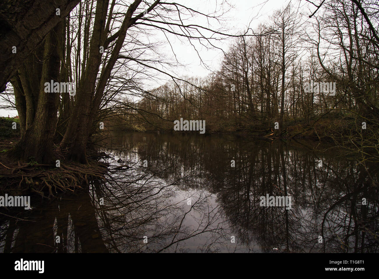 River Trail in South Thoresby Stockfoto