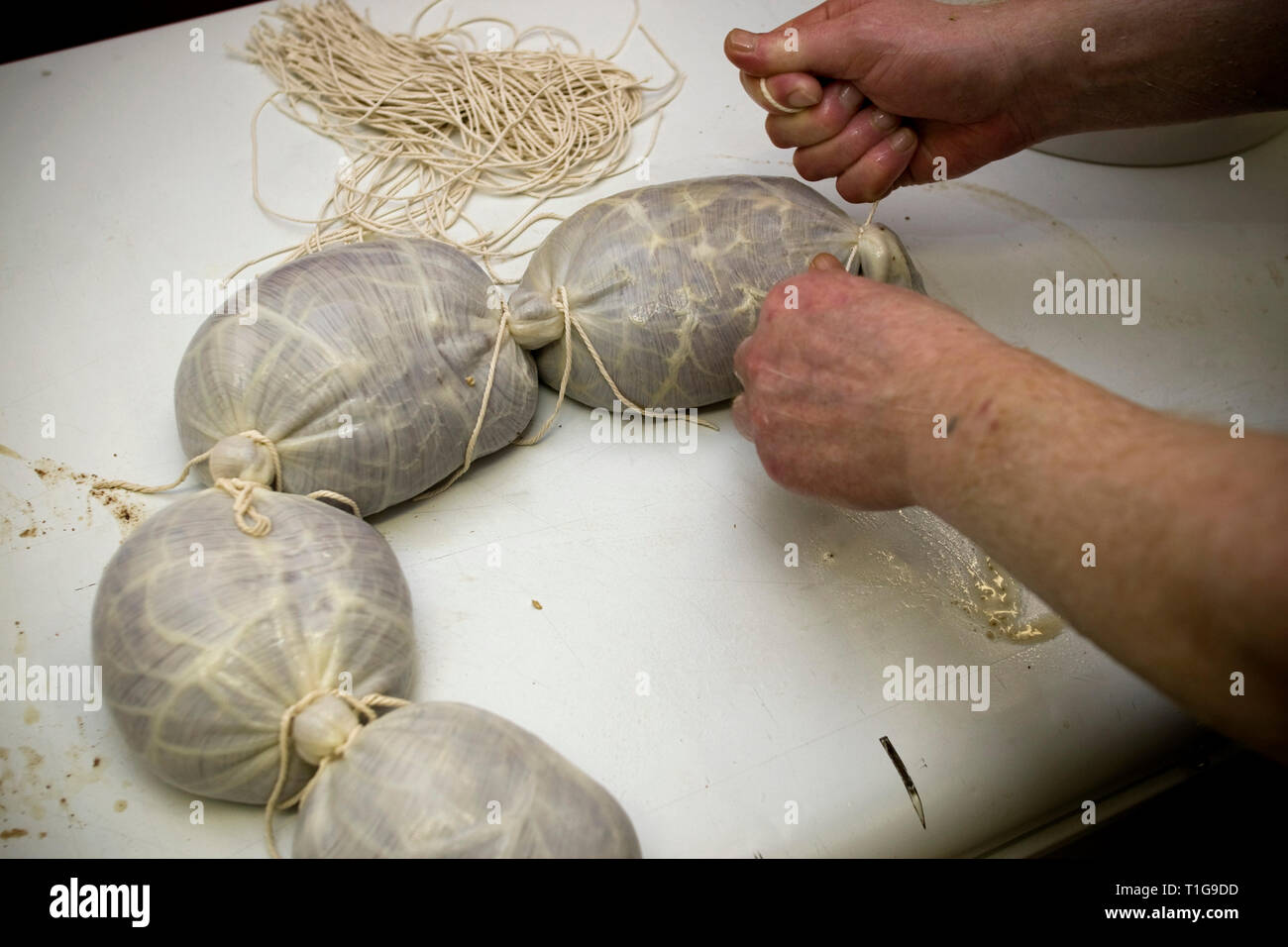 Meister haggis Teekocher John Potter, der aus seiner Heimat Schottland zu Merseyside verlegt, das Binden einer neu gefüllt Haggis an Braveheart Metzger, die er in Wallasey, Wirral besitzt. Haggis ist ein Gericht, das Schaf "zupfen" (Herz, Leber und Lunge), Hackfleisch mit Zwiebel, Haferflocken, Talg, Gewürze und Salz, gemischt mit Lager, und traditionell im Magen der Tiere für etwa drei Stunden lang gekocht. Es ist ein traditionelles schottisches Gericht normalerweise serviert mit", Neeps und tatties' (Schwede, gelben Rüben und Kartoffeln, gekocht und püriert getrennt) und ein 'Widder' von Scotch Whisky), vor allem als Hauptgericht von Stockfoto