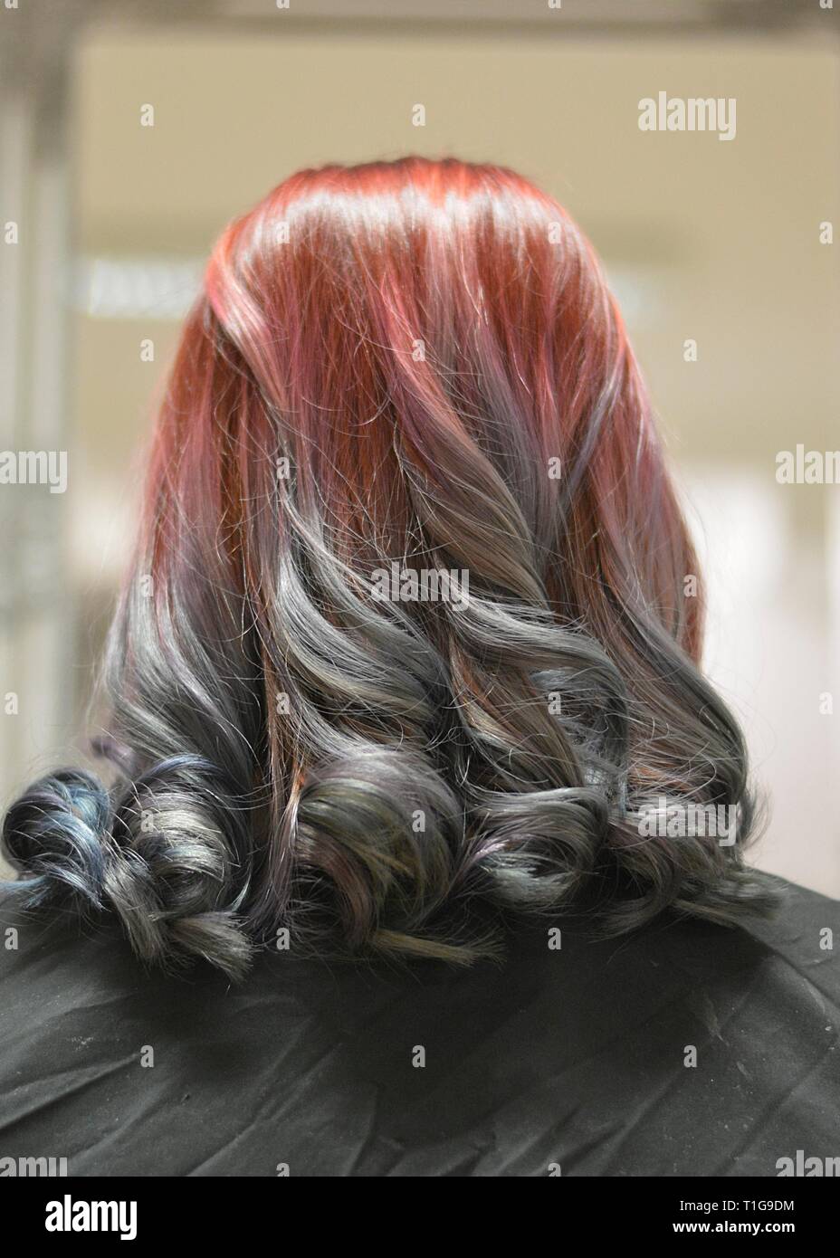 Der Friseur hat Haare färben und erstellt eine neue Frisur Stockfoto