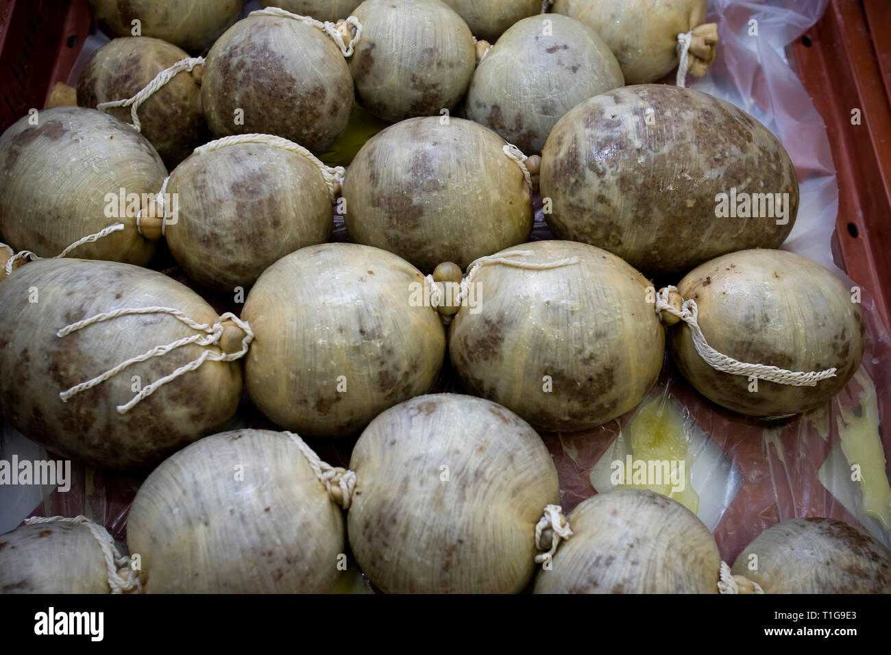 Frisch zubereiteter Haggis auf einem Tablett an Braveheart Metzger in Wallasey, Wirral, im Besitz von Meister haggis Teekocher John Potter, der aus seiner Heimat Schottland zu Merseyside verlegt und setzt die preisgekrönte Haggis zu machen. Haggis ist ein Gericht, das Schaf "zupfen" (Herz, Leber und Lunge), Hackfleisch mit Zwiebel, Haferflocken, Talg, Gewürze und Salz, gemischt mit Lager, und traditionell im Magen der Tiere für etwa drei Stunden lang gekocht. Es ist ein traditionelles schottisches Gericht normalerweise serviert mit", Neeps und tatties' (Schwede, gelben Rüben und Kartoffeln, gekocht und püriert getrennt) und ein 'Widder' von Scotch Stockfoto