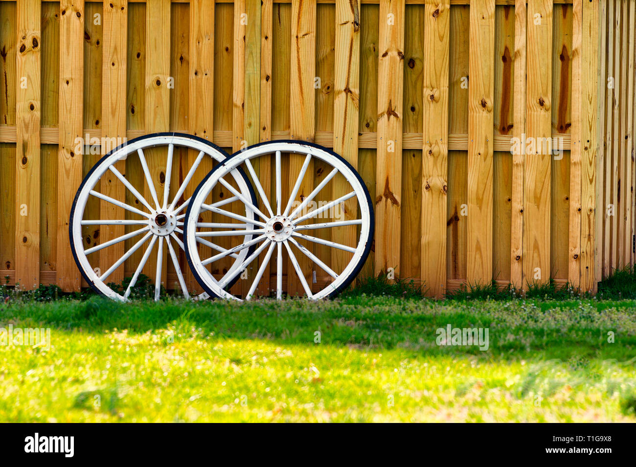 Grünen Rasen und Holzzaun mit zwei weißen hölzernen Wagen Räder auf Zaun gelehnt. Stockfoto