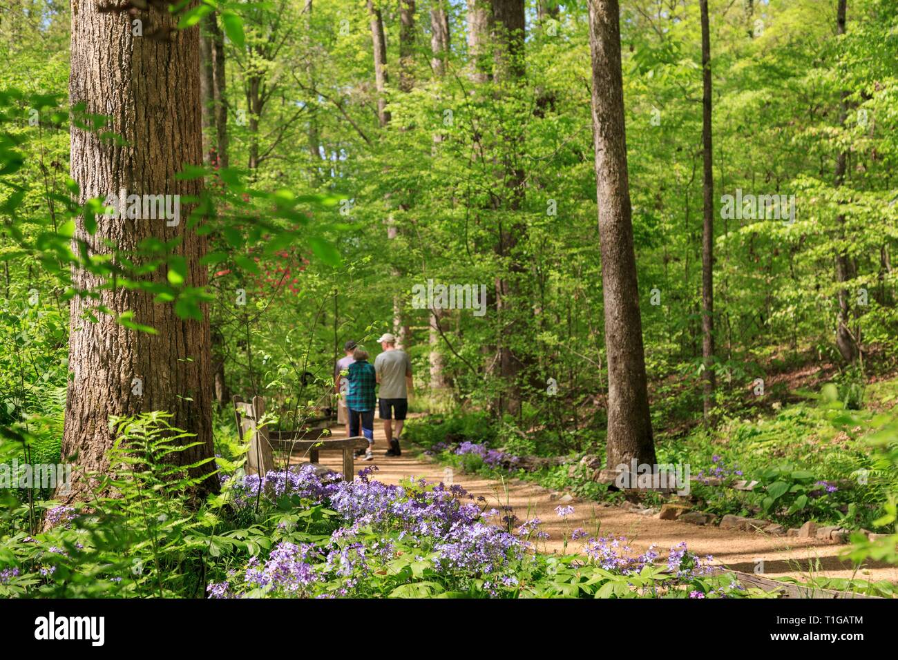 Gruppe von Besuchern nach South Carolina Botanical Garden, Clemson, South Carolina. Stockfoto