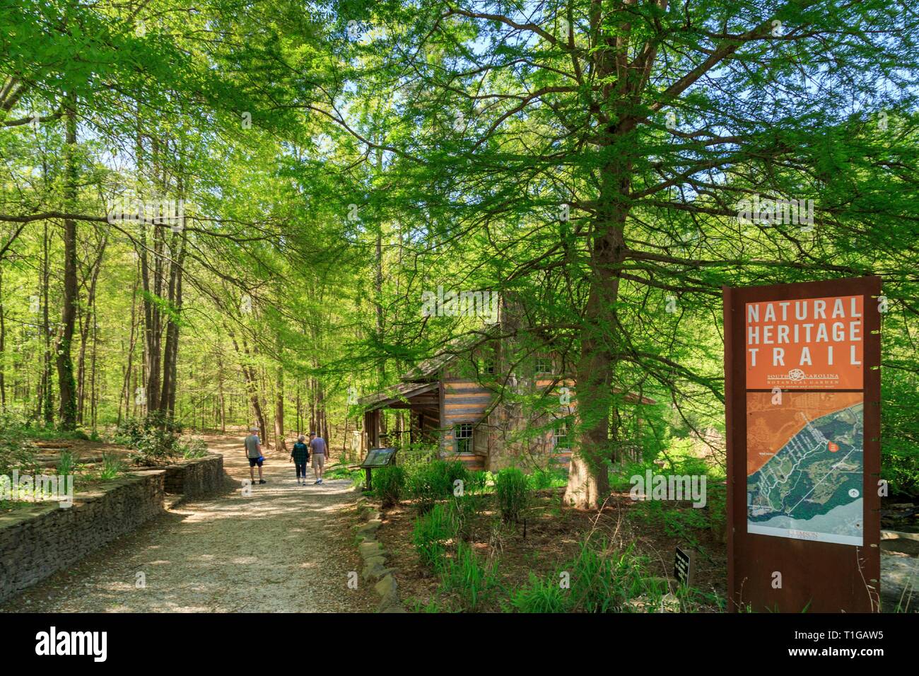 South Carolina Botanical Garden, Clemson, South Carolina. Stockfoto