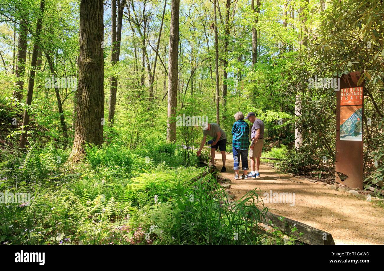 South Carolina Botanical Garden, Clemson, South Carolina. Stockfoto