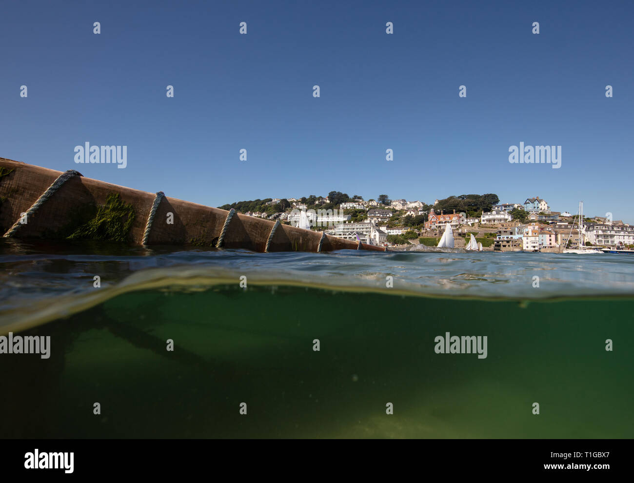 Ein Schuss von Yachten in Salcombe Mündung im Sommer mit Blick auf die schöne Cliff House Gebäude, das ist die Heimat der Salcombe Yacht Club Stockfoto