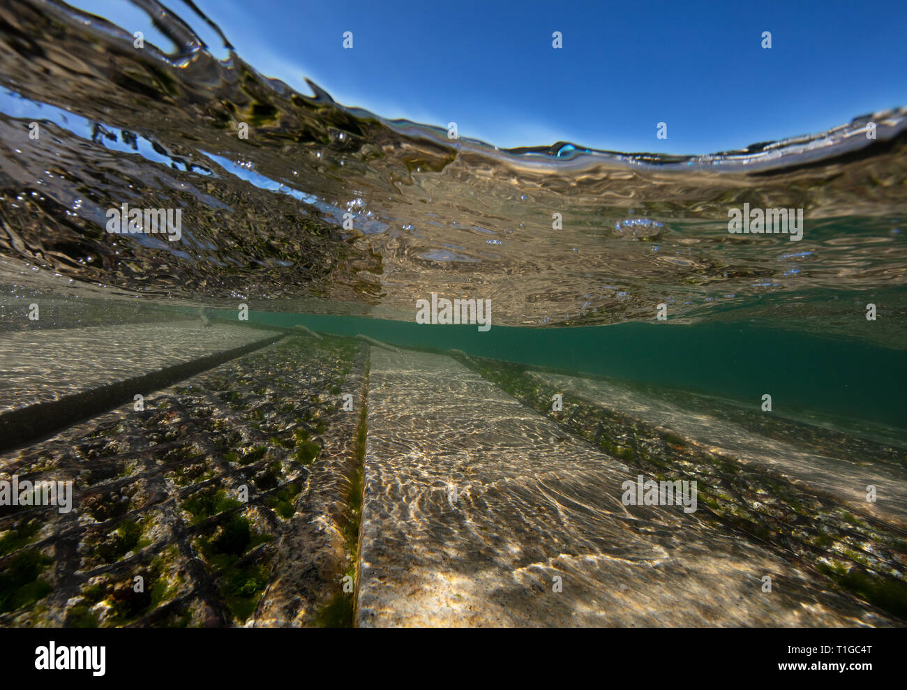 Ein Schuss des klaren Wassers in Salcombe Mündung im Sommer, neben dem Steg. Stockfoto