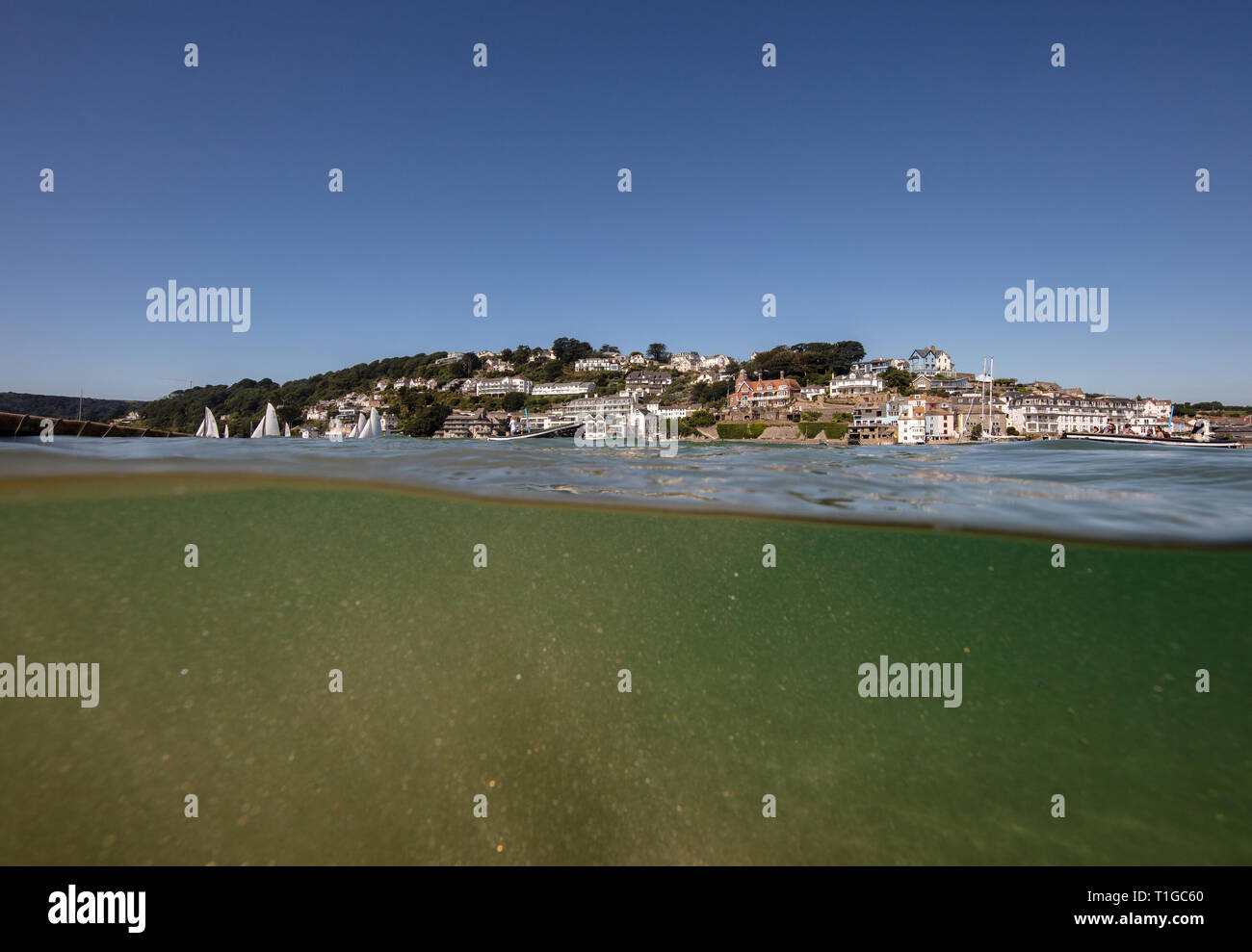 Ein Schuss von Yachten in Salcombe Mündung im Sommer mit Blick auf die schöne Cliff House Gebäude, das ist die Heimat der Salcombe Yacht Club Stockfoto