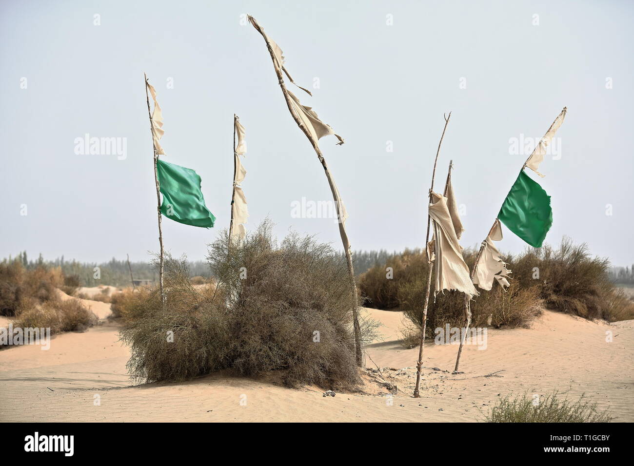 Votivflaggen - Grabbeigabe - Imam Asim mazar oder Mausoleum Area - Taklamakan Desert. Hotan-Xingjiang-China-0058 Stockfoto