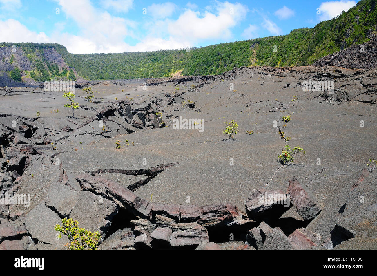 Risse Lava in der Kilauea Iki Krater in Hawaii Stockfoto