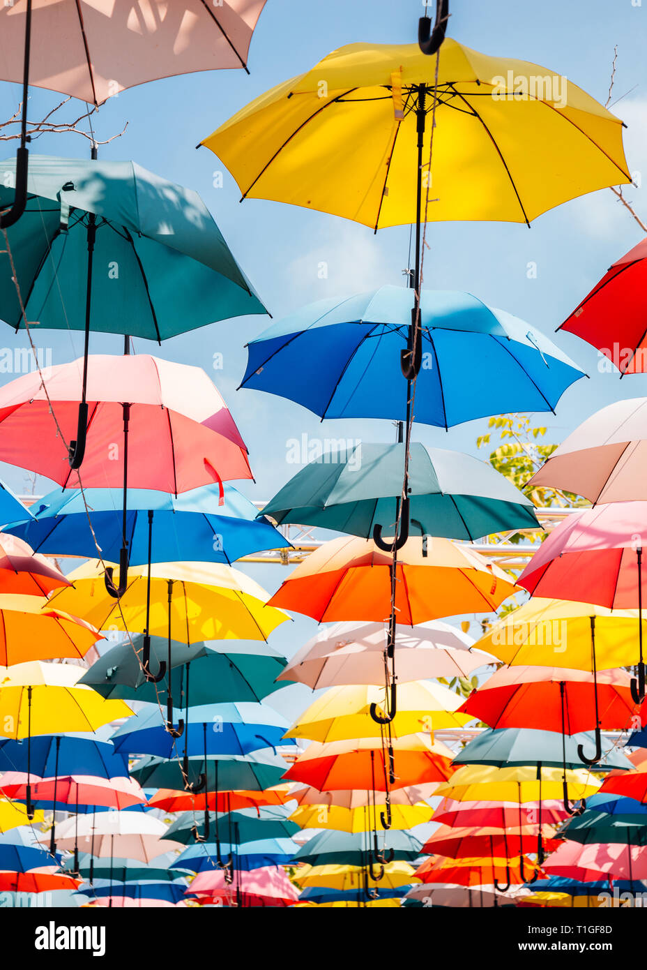 Kreative Sicht Regenschirm Stockfotos und -bilder Kaufen - Alamy