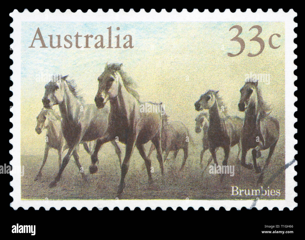 Australien - ca. 1986: einen Stempel in Australien gedruckten zeigt die Brumbies, Pferde Serie, ca. 1986. Stockfoto