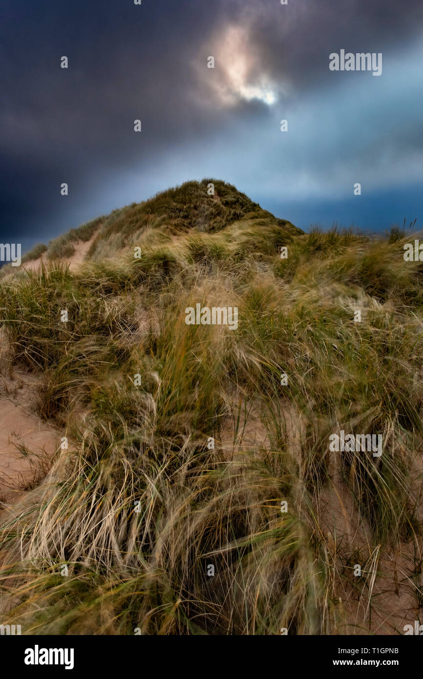 Berg der Marram, Marram Gras Düne, balnakeil Strand, in der Nähe von Durness, Sutherland, North West Highlands, Schottland, Großbritannien Stockfoto