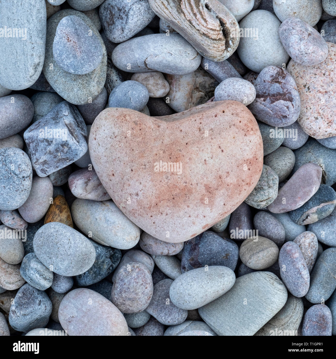 Herz aus Stein, Kiesstrand in Spey Bay, Küste von Moray, North Eastern Scotland, UK Stockfoto