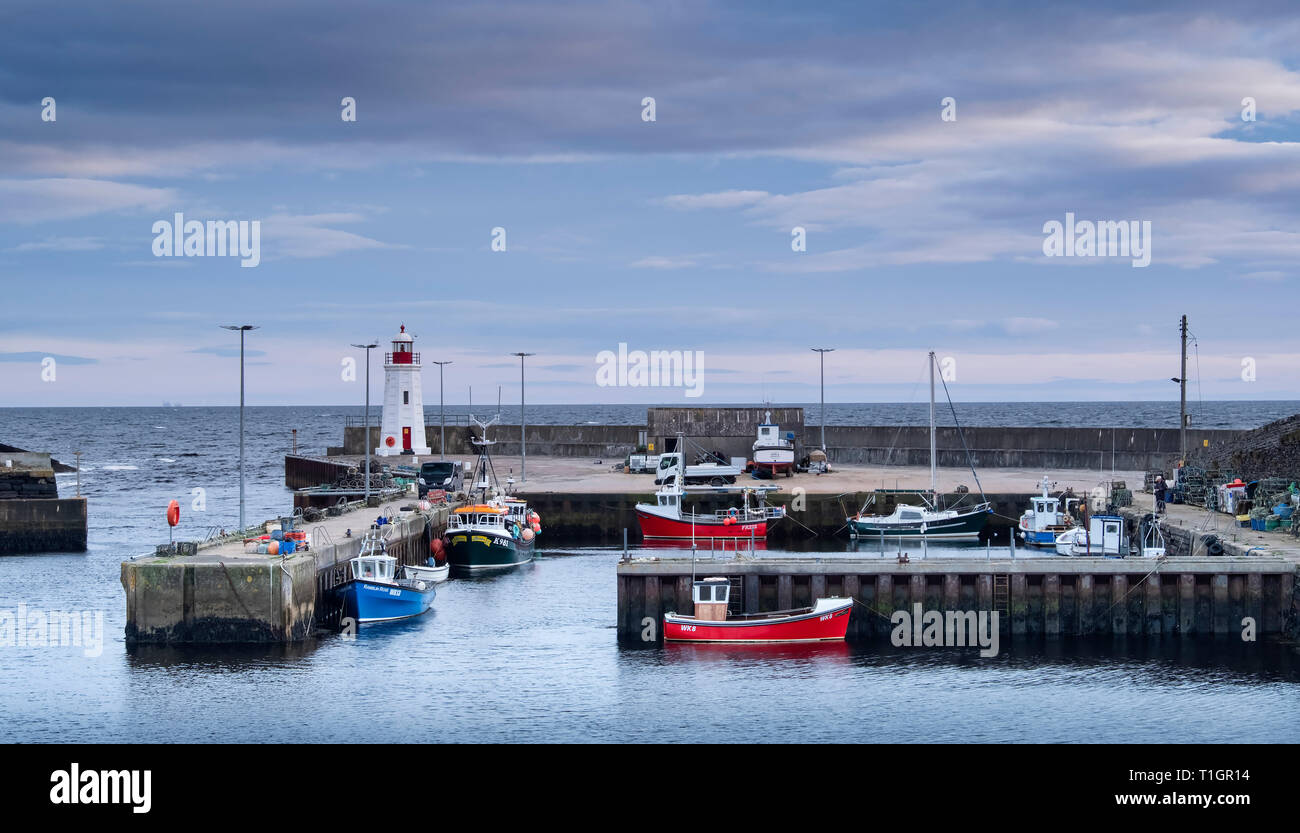 Lybster Hafen, Caithness, Scottish Highlands, Schottland, UK Stockfoto