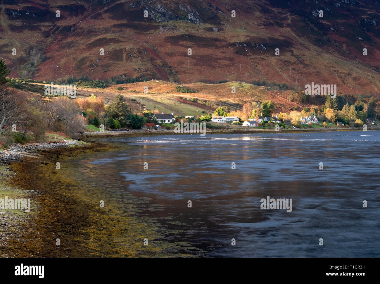 Weiler von Conchra auf Loch Long, Kyle von Lochalsh, Scottish Highlands, Schottland, UK Stockfoto
