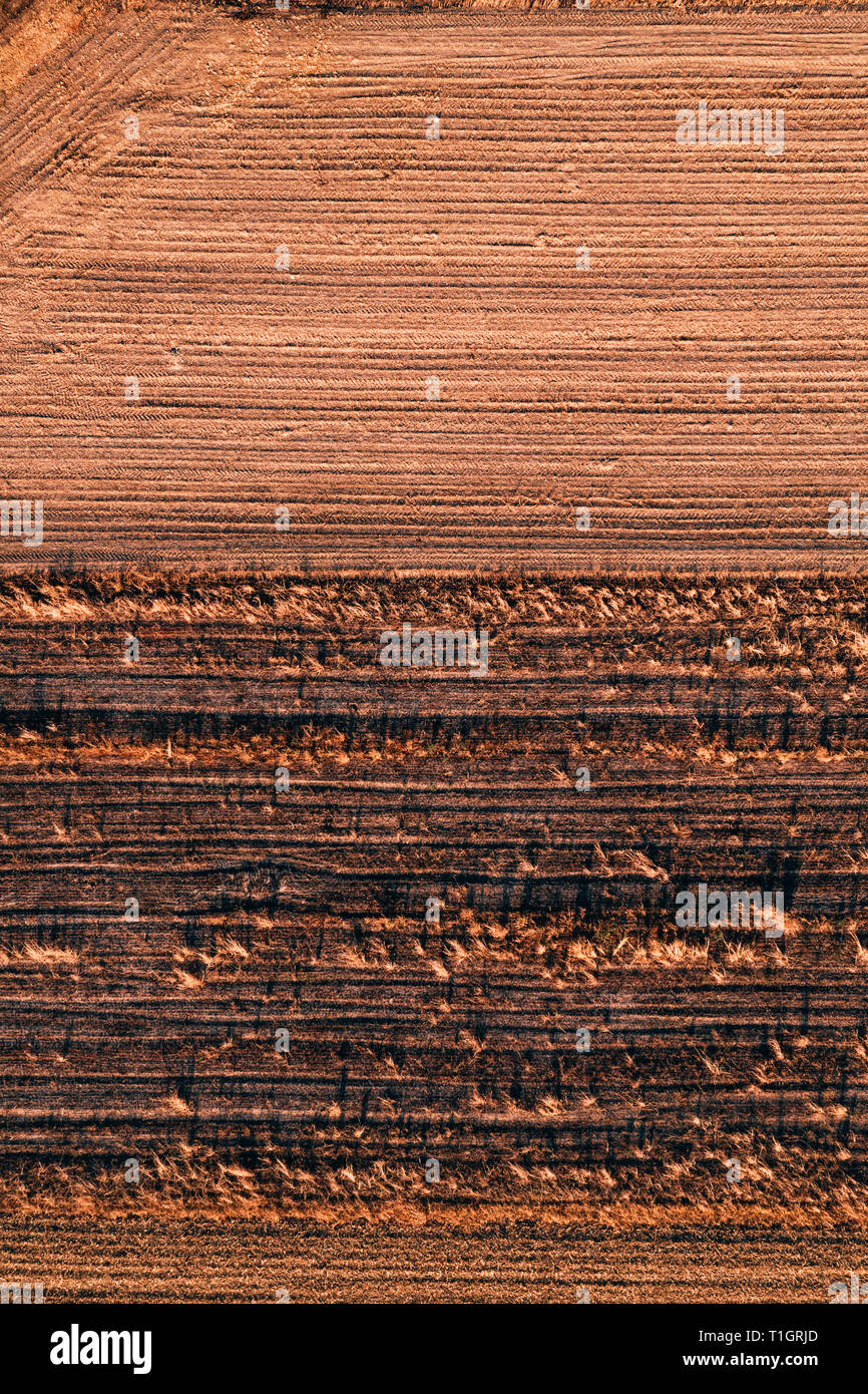 Luftaufnahme von Feld Stoppeln drone pov auf hellen, sonnigen Herbsttag Stockfoto
