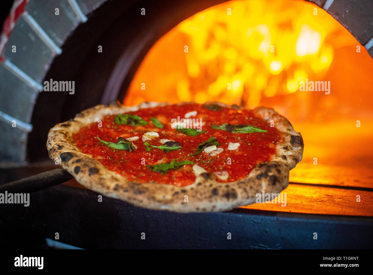 Pizza mit Holzofen. Authentische italienische neapolitanische vegane Marinara-Pizza, die aus einem Holzofen entnommen wird. Werkbasiert. Selektiver Fokus Stockfoto