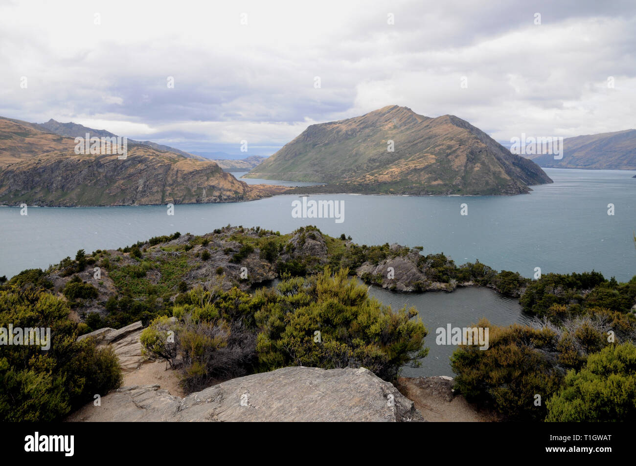 Mou Waho Island (Insel 'äußeren' in Maori) am Lake Wanaka, Südinsel, Neuseeland. Seltsamerweise die Insel hat einen eigenen Süßwasser-See - Arethusa Pool. Stockfoto