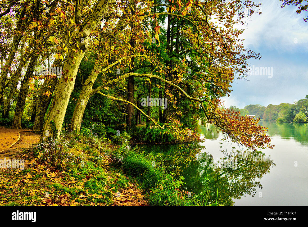 Herbst Blick auf den See am Goldenen Kopf Park in Lyon Stockfoto