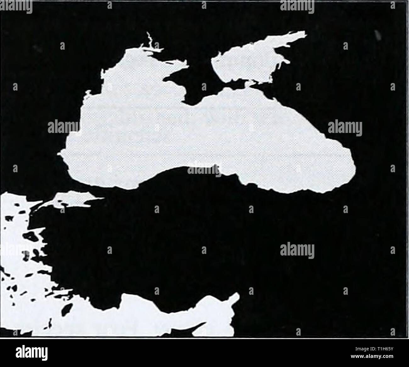 Die Vielfalt der Meere die Vielfalt der Meere: Der regionale Ansatz. WCMC Biodiversität Serie 4 diversityofseasr 96 groo Jahr: 1996 SCHWARZES MEER Bulgarien, Georgien, Rumänien, Russland, Türkei, Ukraine großen marinen Ökosysteme, das Schwarze Meer, die aus einer einzigen LME, umfasst rund 461.000 km2 in Südosteuropa, etwa zwischen 27-41°E und 41-47° N. Es ist relativ tief; die meisten der über 500 m in die Tiefe und viel von der zentrale Teil erreicht 2000 m (max. 2.212 m). Es gibt umfangreiche Flachwasser Bereiche entlang der westlichen und nördlichen Ufer, im letzteren vor allem dort, wo die 15.000 km2 Stockfoto