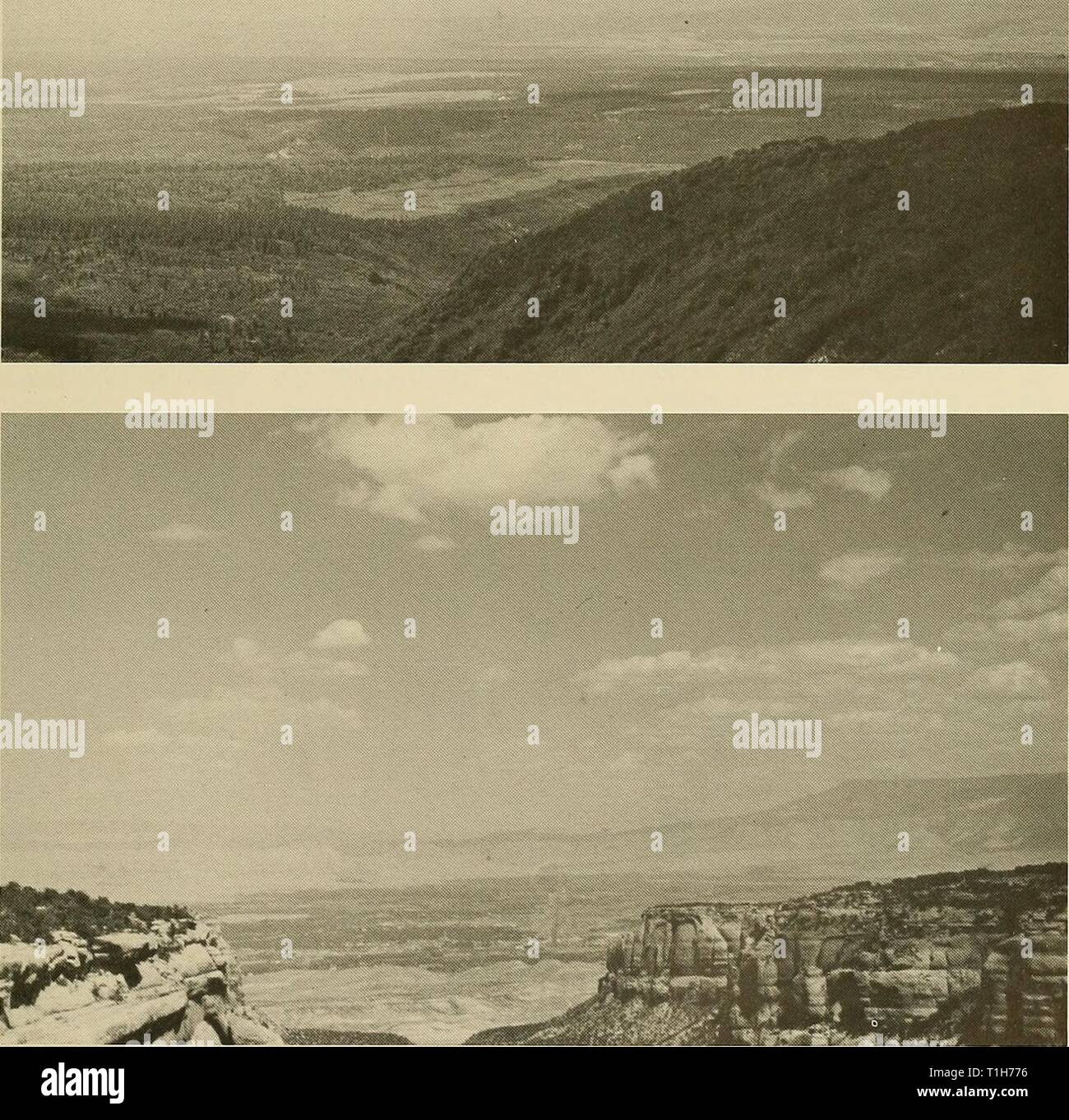 Verteilung der Säugetiere in Colorado Verteilung der Säugetiere in Colorado distributionofma 31972arme Jahr: 1972 MONOGRAPHIE MUS. NAT. HIST. Nr. 3 Platte 7 Platte 7 1. Oakbrush mit verstreuten Koniferen, San Miguel Valley (Ansicht von uncompahgre Plateau über Rot-Vale, in Richtung einsamer Kegel und San Miguel Berge, Montrose und San Miguel Grafschaften, über 8000 ft., August 1969). 2. Semidesert Scrub, Grand Valley, N von Red Canyon Overlook, Colorado National Monument, in Richtung Grand Mesa, rechts, und buchen Sie Klippen, Links, über 5500 ft., Mesa County, August 1969). Stockfoto