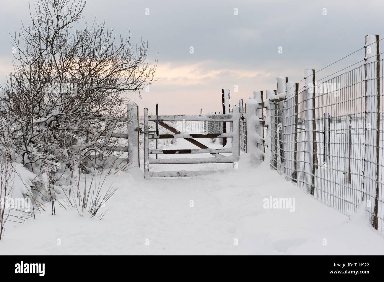 Schnee bedeckt Tor und Pfad in ländlicher Lage Stockfoto