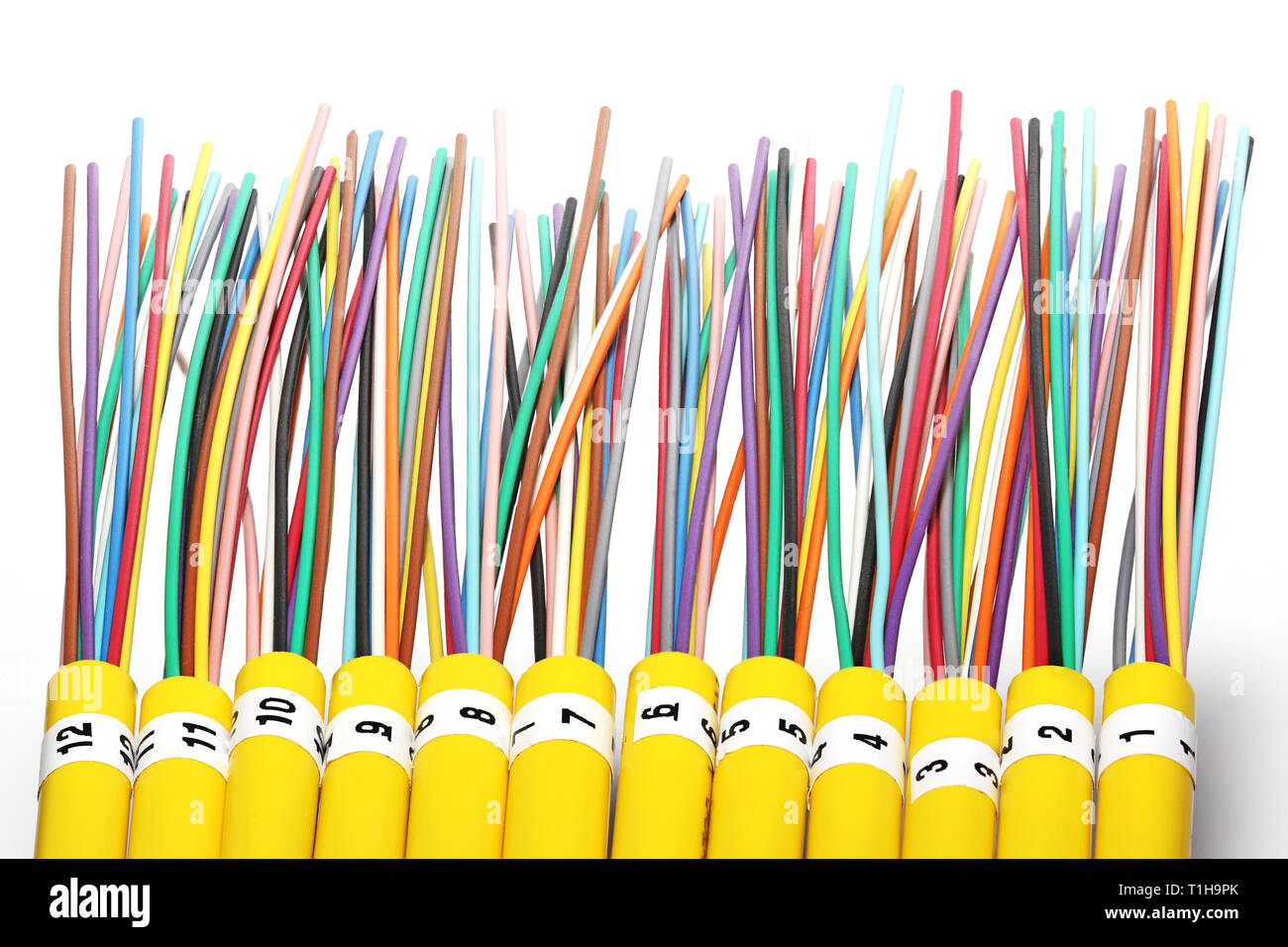 Fibre optische Netzwerkkabel Nahaufnahme Stockfoto