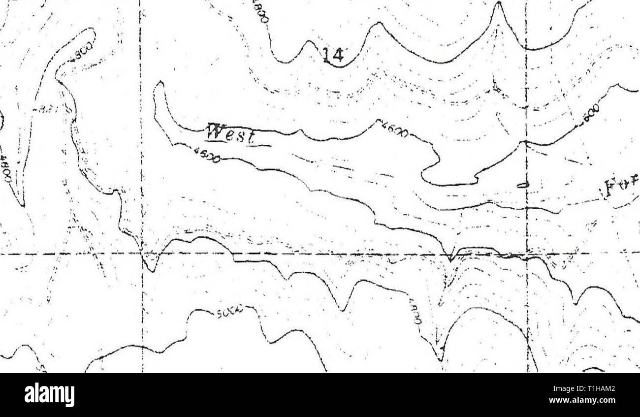 Verteilung, Reichtum, und Lebensraum Verteilung, Reichtum, und Lebensraum Verbände von Amphibien und Reptilien auf Craig Berg, Idaho distributionrela 11 llew Jahr: 1998 Frye, Idaho Straße 540 Teiche 5 $. 1f! L&fj SfX WG-* £ 307 L?e, L S, L, a 1 km LS=Long-toed Salamander WT = Western (Boreal) Kröte PT=Pacific treefrog SF = Spotted Frog WG=Western terrestrische Garter Snake CG = Gemeinsame Garter Snake a=Erwachsene(n) c = Aufruf e=Eier 1 = Larven oder Kaulquappen m=metamorphs (Amphibien) j = Jugendliche Abbildung 38 ein. Lage von Teichen und die Amphibien und Reptilien gefunden f Stockfoto