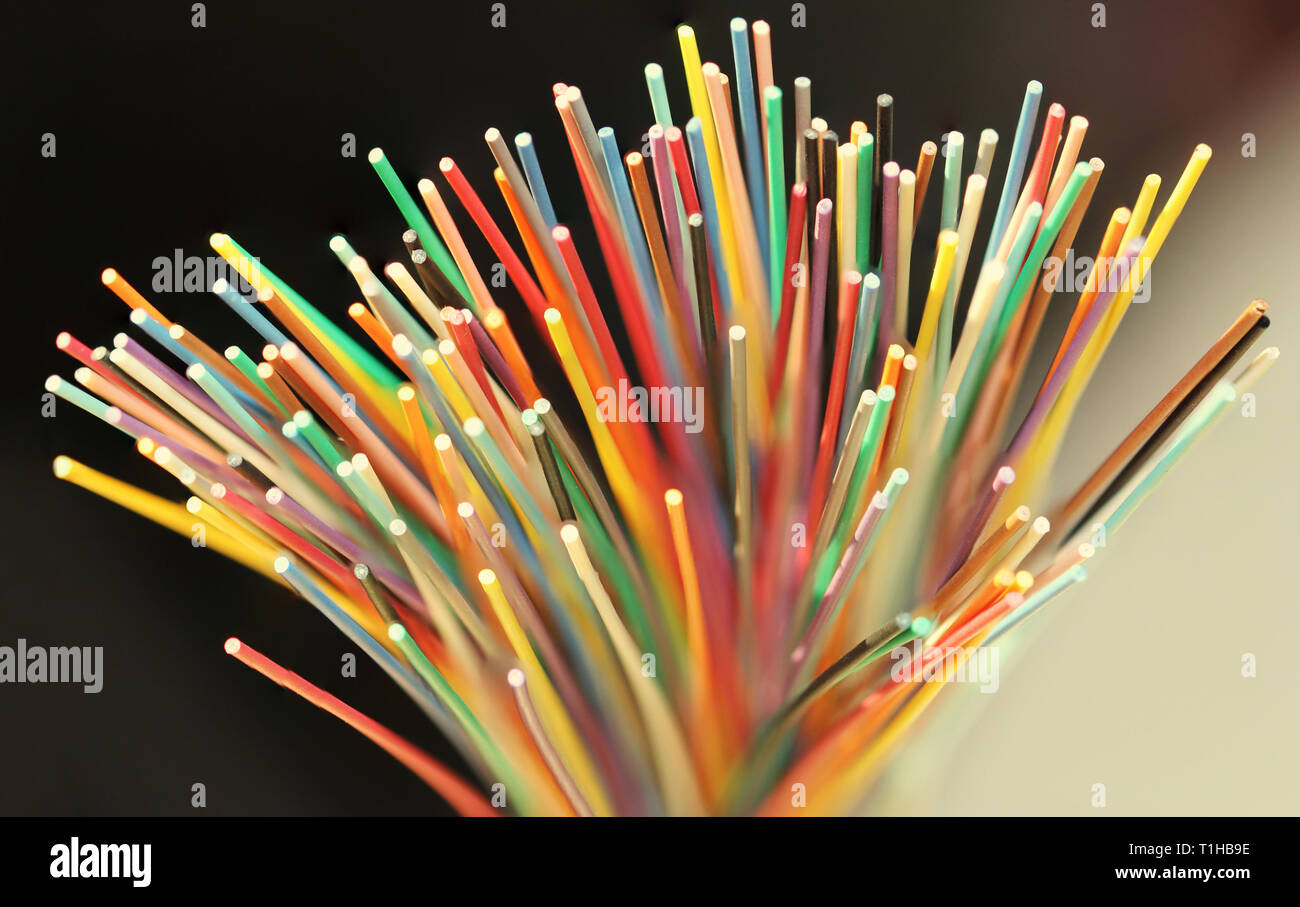 Fibre optische Netzwerkkabel Nahaufnahme Stockfoto