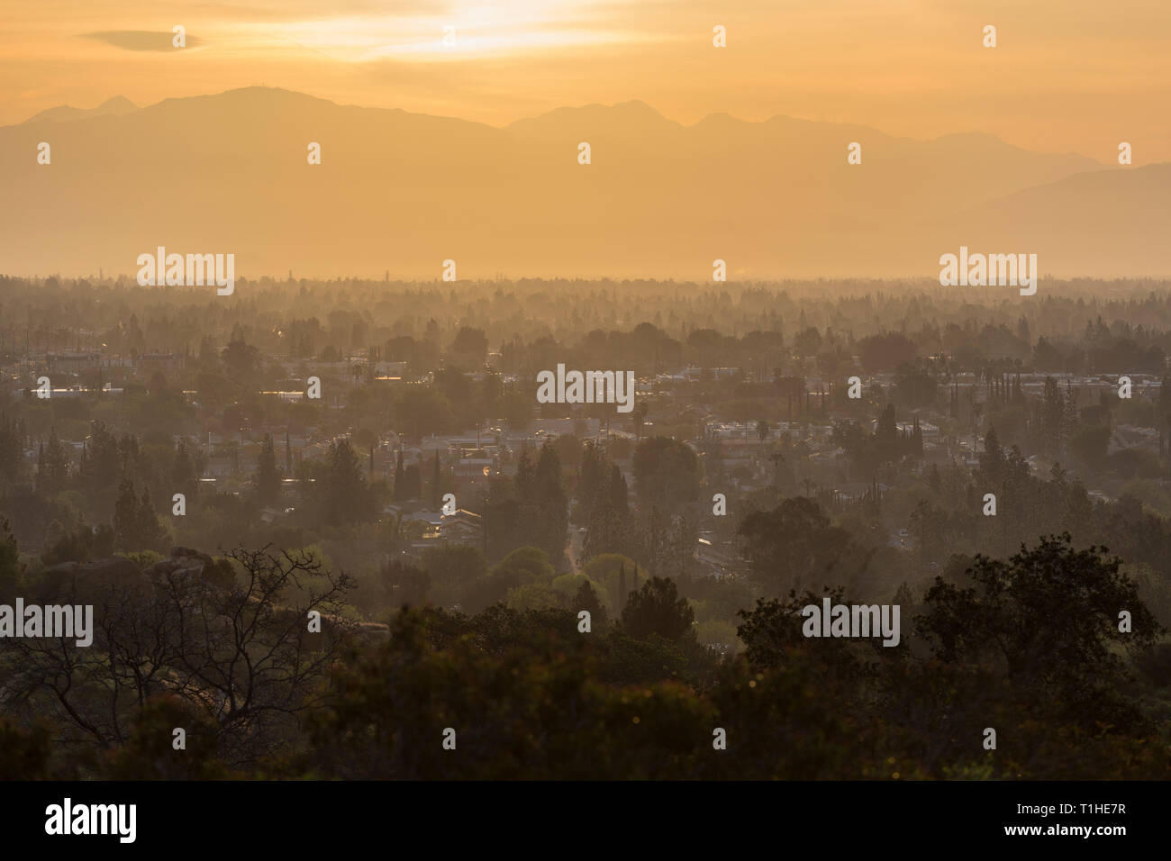 Hazy dawn Blick auf West San Fernando Valley Nachbarschaften in der Stadt Los Angeles, Kalifornien. Die San Gabriel Mountains im Hintergrund. Stockfoto