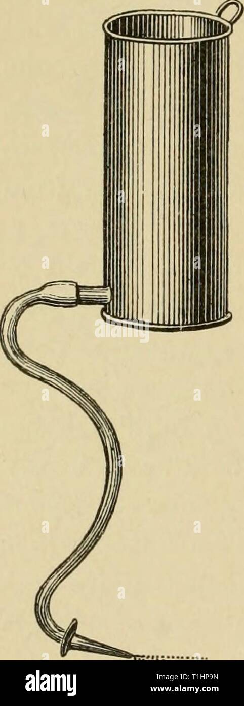 Krankheiten des Hundes und Krankheiten des Hundes und ihre Behandlung diseasesofdogthe 01 ml Jahr: 1897 312, Wunden und deren Behandlung. Abb. 69., und vor allem während und nach Operationen, in denen es viel Blut verloren. Die wunde und alles, was damit in Kontakt kommen, auch die ihn umgebende Gewebe, sollte vorsichtig antiseptische gerendert werden. Die Haare zu scheren oder Schneiden sehr nahe sein, die Haut gewaschen mit Äther und Benzoe, um alle die Käsemasse in der Haut liegen, um sie zu entfernen. Folgen Sie dieser durch Waschen mit antiseptischen Flüssigkeiten (1 Prozent, Lösung von sublimieren, 3 Prozent, Karbolsäure, 2 Stockfoto