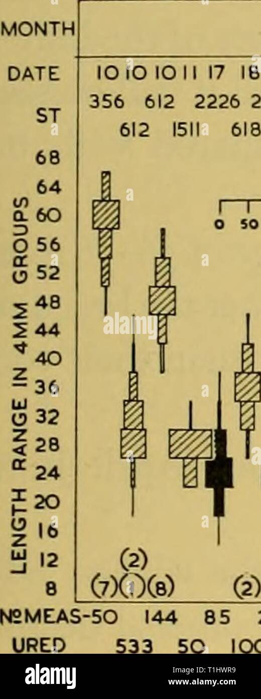 Reports (1964) Entdeckung berichten discoveryreports 32 inst Jahr: 1964 (8) (l){3 X6) { lX2) (8) N2 gemessenen 702 69 325 61 148 48 125 432 174 77 100 32 86 522 539 95 19 172 818 185 lOO lOO 55 55 60 III 51 159 23 87 53 53 167 79 20 467 246 116 588 904 504 35 36 346 171 205 146 82 35 36 82 Monat DATUM STATION 68 64 (/) 603 55g52'48 I 44 40 z 3* UJ32 O28< 24° = 20 f15 i12y8N 2 gemessenen FEBRUAR MÄRZ 1 17 18 IB 20 21 21 22 22 23 23 23 24 24 26 26 27 28 29 1 2 3 4 4 5 5 5 6 8 8 10 10 lO lO 12 14 14 15 15 17 19 21 22 23 23 24 24 25 26 26 2226 222 ein 624 W 152 627 2244 1537 2590 154 Stockfoto Reports (1964) Entdeckung berichten discoveryreports 32 inst Jahr: 1964 (8) (l){3 X6) { lX2) (8) N2 gemessenen 702 69 325 61 148 48 125 432 174 77 100 32 86 522 539 95 19 172 818 185 lOO lOO 55 55 60 III 51 159 23 87 53 53 167 79 20 467 246 116 588 904 504 35 36 346 171 205 146 82 35 36 82 Monat DATUM STATION 68 64 (/) 603 55g52'48 I 44 40 z 3* UJ32 O28< 24° = 20 f15 i12y8N 2 gemessenen FEBRUAR MÄRZ 1 17 18 IB 20 21 21 22 22 23 23 23 24 24 26 26 27 28 29 1 2 3 4 4 5 5 5 6 8 8 10 10 lO lO 12 14 14 15 15 17 19 21 22 23 23 24 24 25 26 26 2226 222 ein 624 W 152 627 2244 1537 2590 154 Stockfoto