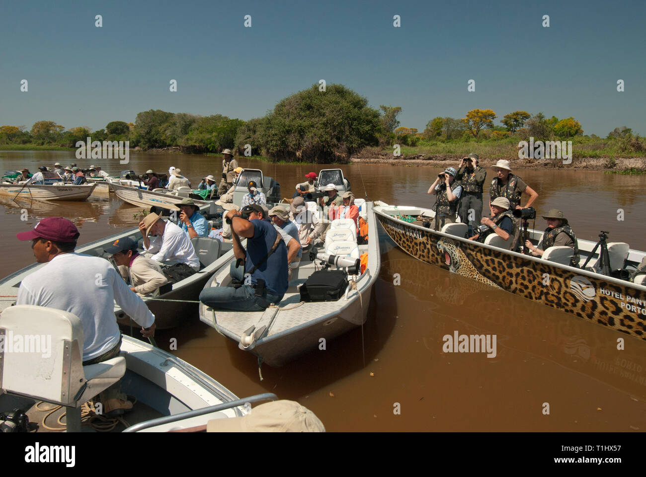 Fotografen in Boote für einen Jaguar zu wecken im Pantanal in Brasilien warten Stockfoto