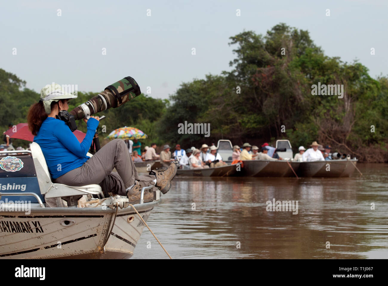 Fotografen in Boote für einen Jaguar zu wecken im Pantanal in Brasilien warten Stockfoto