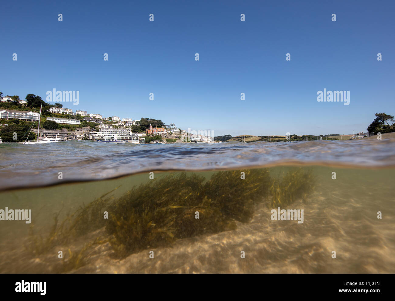 Ein Schuss von Salcombe Mündung während des Sommers mit Cliff House in der Ferne und Algen wellenartig über unter den Wellen. Stockfoto