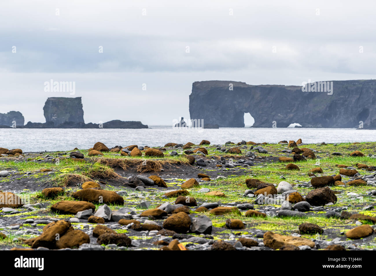 Vik, Island Landschaft in der Nähe von schwarzen Sandstrand mit Blick auf das Meer Horizont Felsformation arch an Dyrholaey, Kirkjufjara an der Südküste mit Moos Felsen Stockfoto