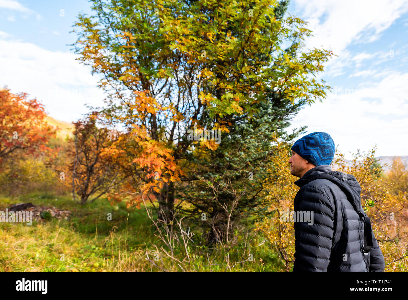 Querformat von orange Laub Herbst Herbst Jahreszeit und touristische Mann durch Kiefernwald Trail Wanderweg in Island Golden Circle, Laugarvatn Stockfoto