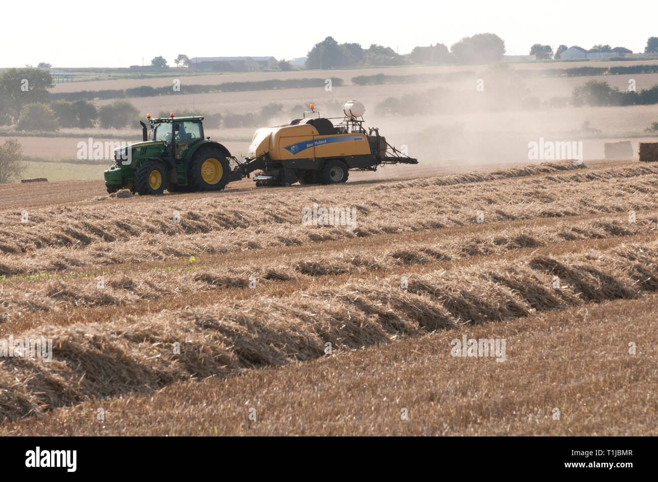 Trockenes Stroh wird gesammelt und in Stroh ballen Stockfoto