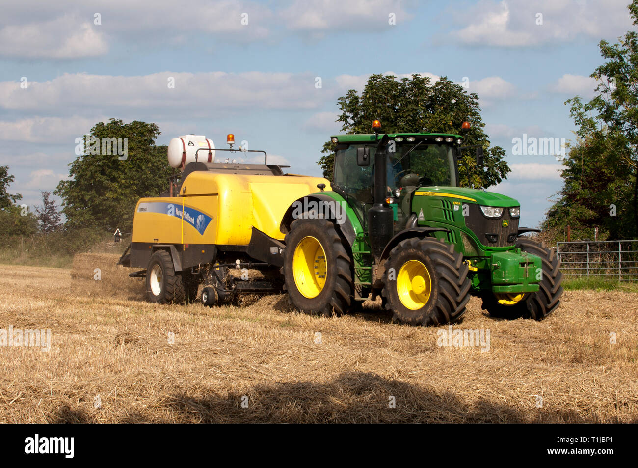 Trockenes Stroh wird gesammelt und in Stroh ballen Stockfoto