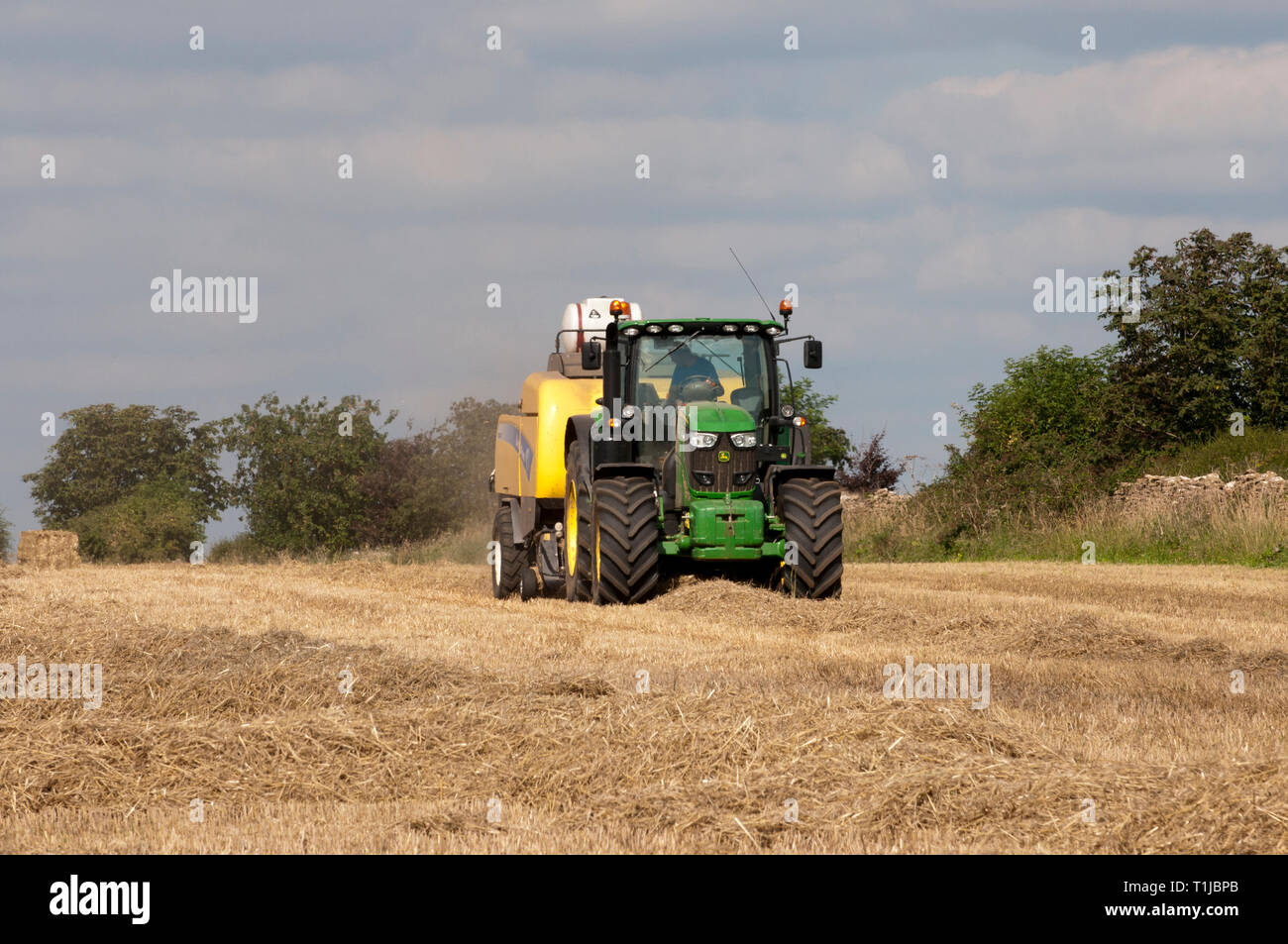 Trockenes Stroh wird gesammelt und in Stroh ballen Stockfoto